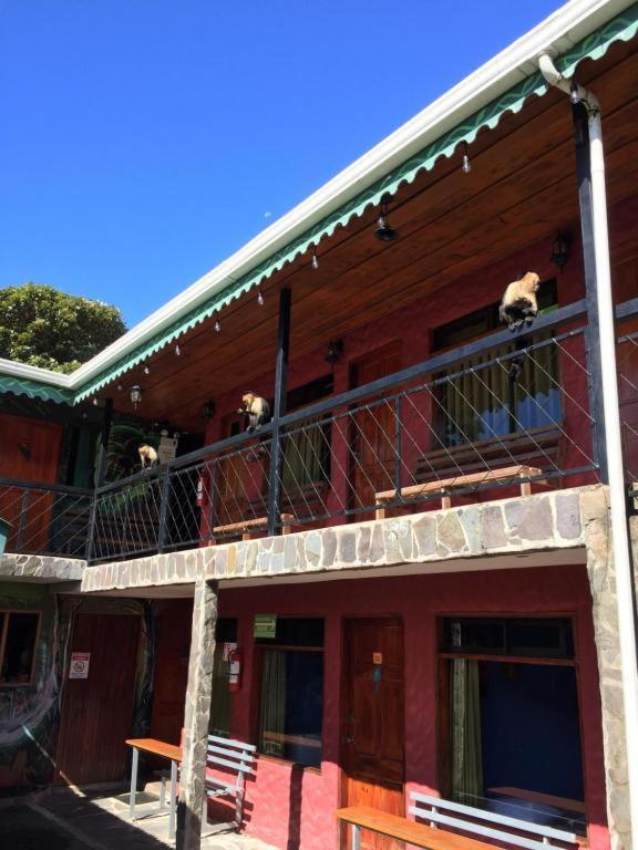Manakin Lodge, Monteverde Cr Exterior foto